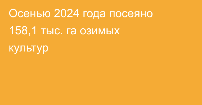 Осенью 2024 года посеяно 158,1 тыс. га озимых культур
